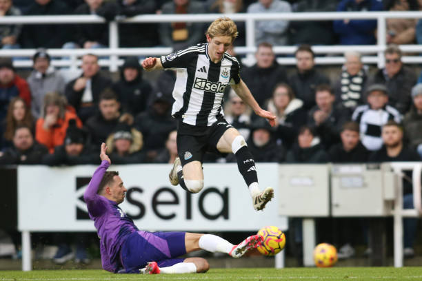 當時的猛龍 當時的猛龍